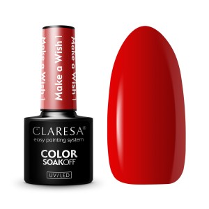 MAKE-A-WISH_1.jpg