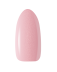 BP_12.png