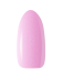 BP_13.png