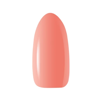 S&E_COVER-SKIN_pazurek.jpg