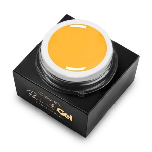 zel-do-zdobien-paint-gel-clavier-5g-yellow.jpg
