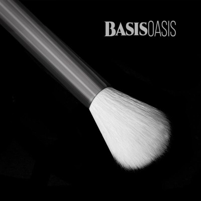 Basis-Oasis-logo-800x800.jpg