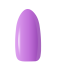 BEG_VIOLET.png