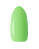 BEG_PISTACHIO.png