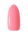 BEG_PEACH.png
