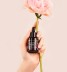 serum-owoce-nocy__4.jpg