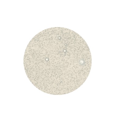 250618_OpcjaNatura_ZdrowyDezodorantSpray_PW_4240.jpg