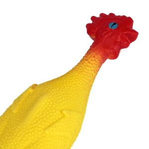 560683_2.jpg