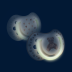 teddylove-item-swieci_1_1.png